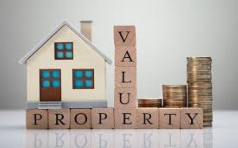Investment Property
