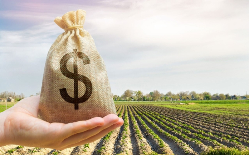 Agriculture and Farming Grants in Iowa: Support for Rural Communities 3 Types of Agricultural Grants Available in Iowa
