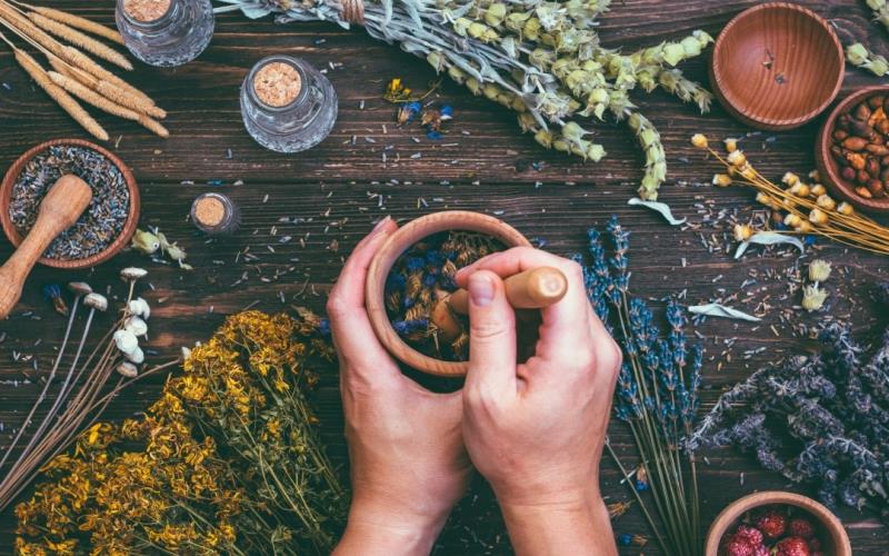 Embracing Ancient Wisdom: Ayurvedic Approaches to Autism Treatment at ND Private Limited in Amritsar