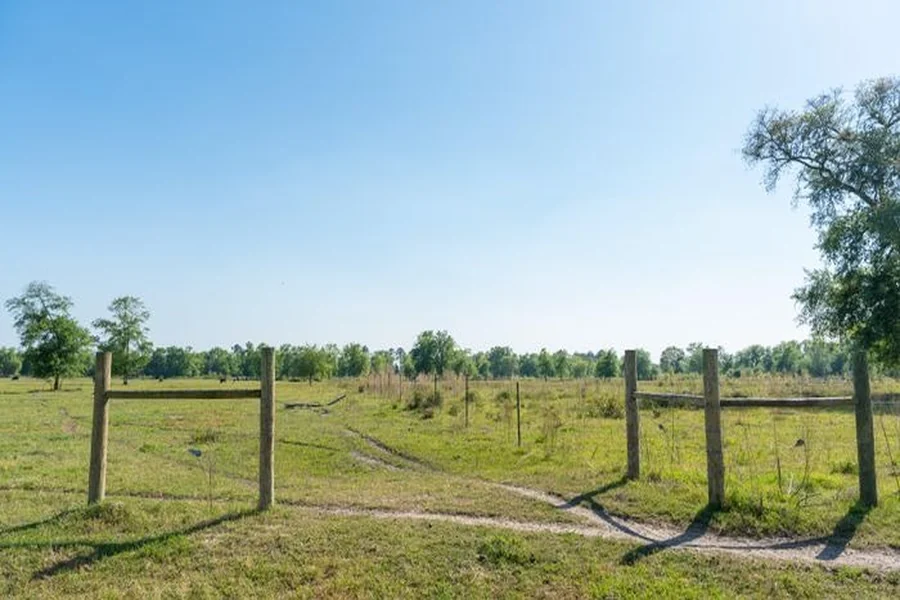 Exploring the Potential in Georgia's Land Auctions