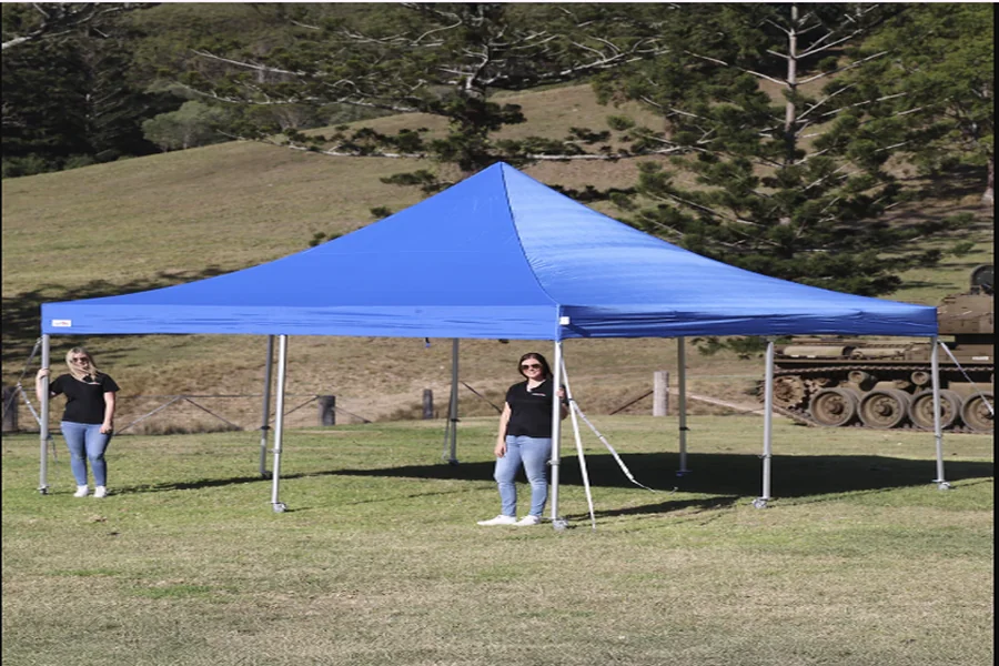16x16 canopy